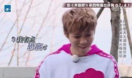 娱乐圈爆料鹿晗热巴,娱乐圈爆料引热议